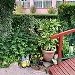 Katalin & Restaurant